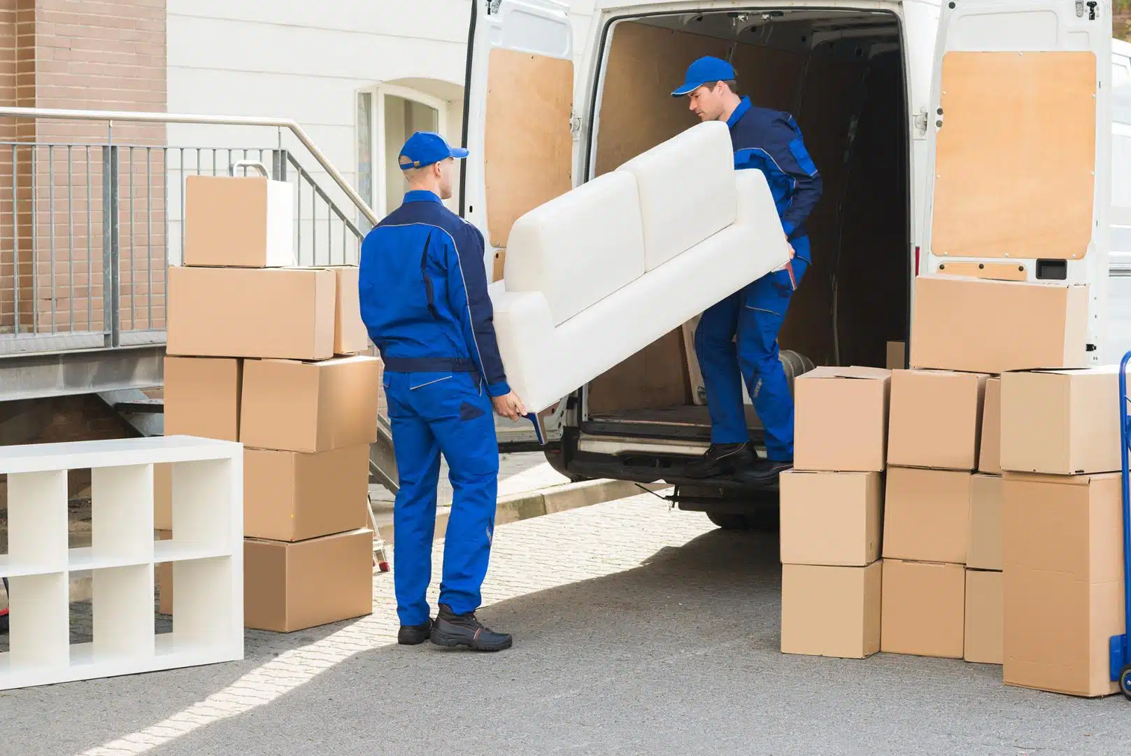 professionnel du transport 