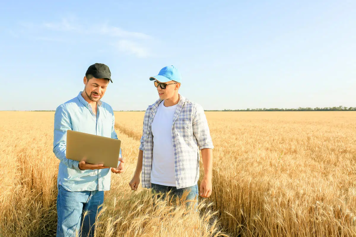 faire une formation en environnement